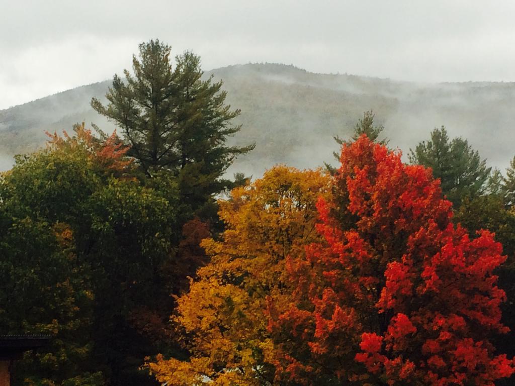 Wilderness Inn Bed And Breakfast ノース・ウッドストック エクステリア 写真